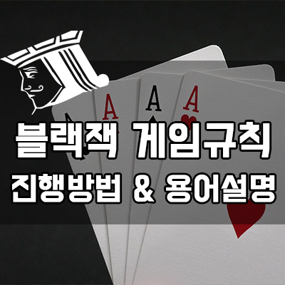 블랙잭 하는 법 - 게임규칙과 진행순서 및 용어정리 블랙잭 하는 법 - 게임규칙과 진행순서 및 용어정리