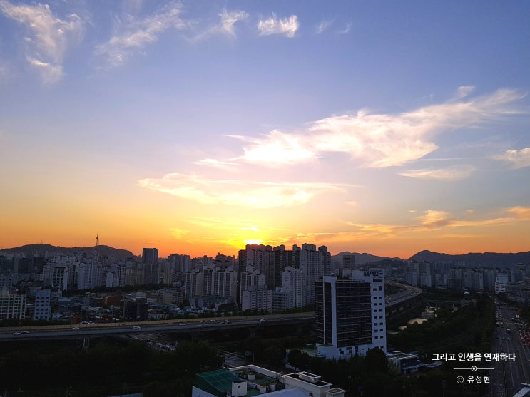  <그 인연, 그리고 인생을 연재하다 121> 하루의 꿈
