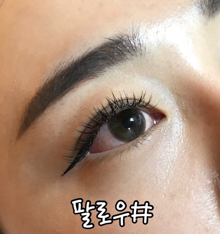  대전 속눈썹 둔산동 팔로우샵에서 또렷한 느낌으로 속눈썹연장했어요!