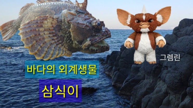 바다의 외계생물 삼식이(feat. 그렘린)