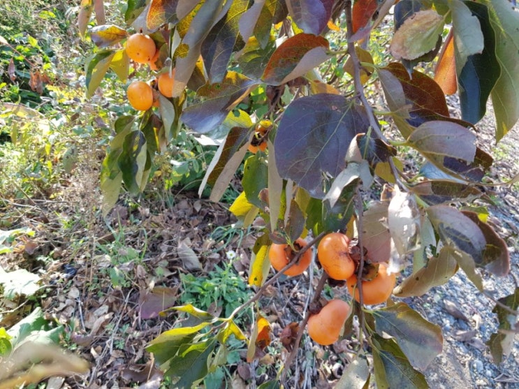  토요일 일상