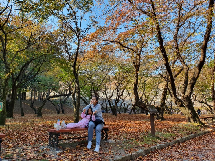  대운산자연휴양림 → 양산 법기수원지 → 맛집 포구나무집