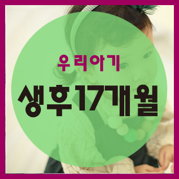  생후 17개월 정보