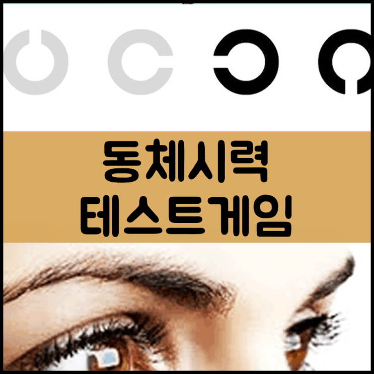  동체시력 테스트 플래시게임