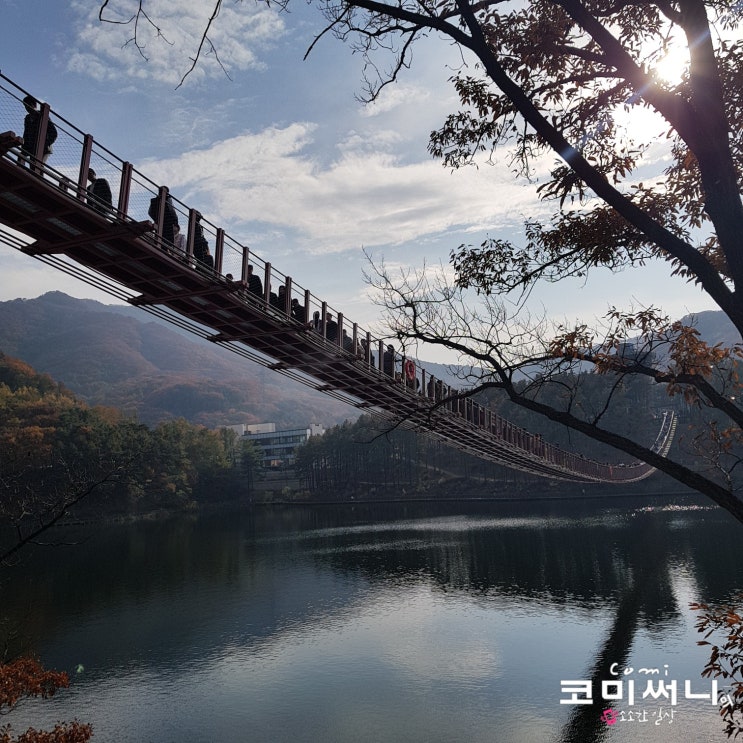 파주 볼거리 마장호수 출렁다리 산책로