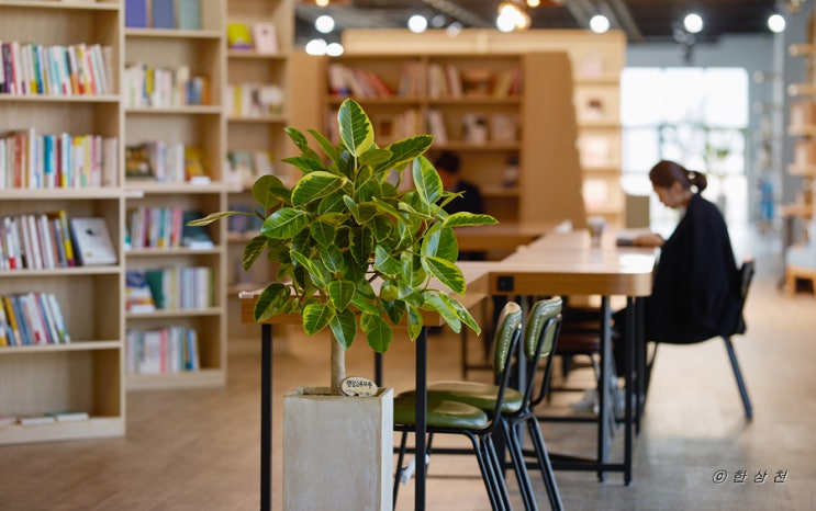  꾸메문고 (CCUME BOOKS & STATIONERY)