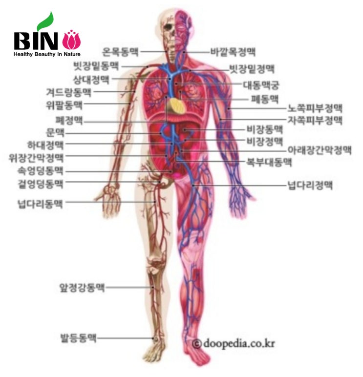 스톤 테라피 & 스톤관리란!!!             다이어트전문샵