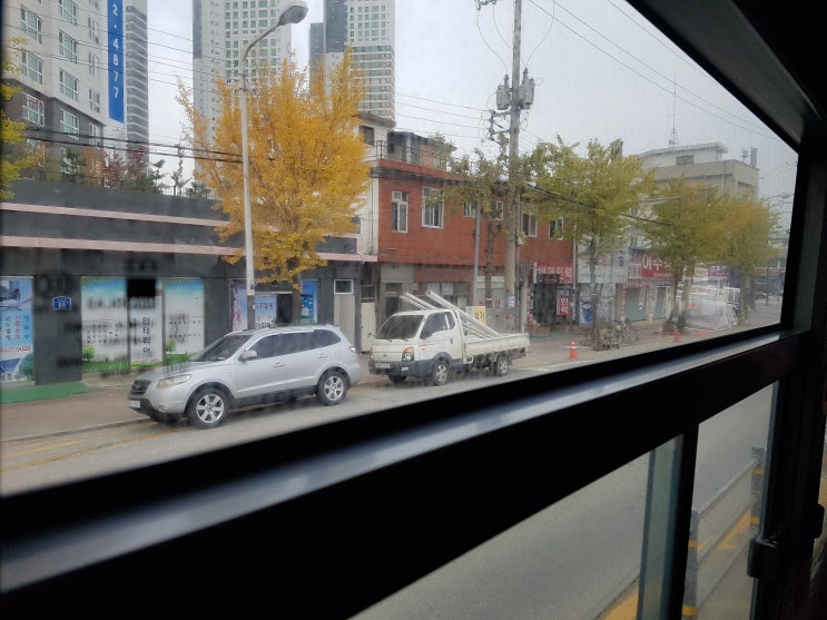 11월 첫째 주 일상 11월 첫째 주 일상
