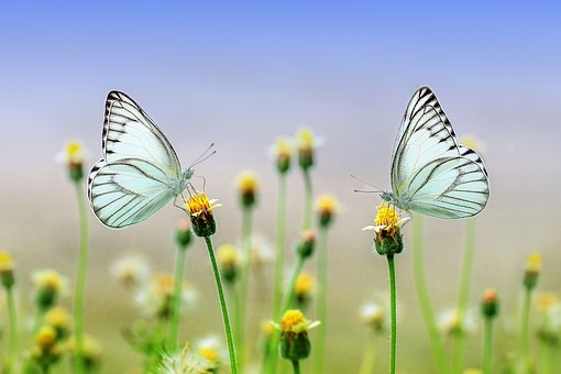 "계속 재밌게 살아줘" '집사부' 김건모다운 '빅재미' 집들이(종합) "계속 재밌게 살아줘" '집사부' 김건모다운 '빅재미' 집들이(종합)