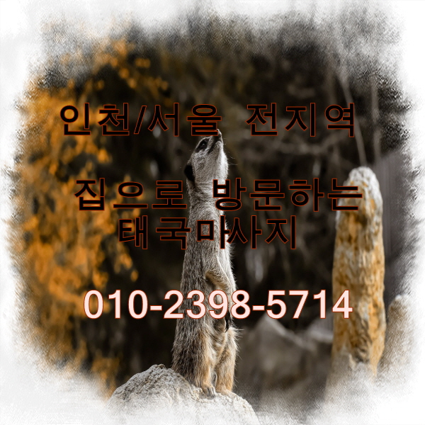  부천 도당동 출장홈타이마사지 받고 편안히 쉴수있는 장점!