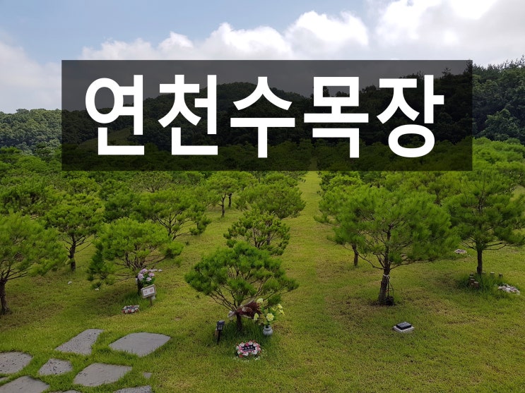  경기도 깨끗하고 비교적 저렴한 연천수목장을 아시나요?
