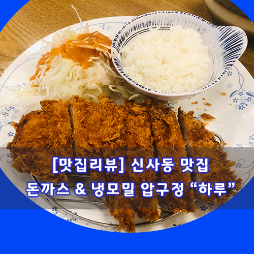  [맛집탐방] 신사동 (압구정) 돈까스와 냉모밀 맛집! "하루"
