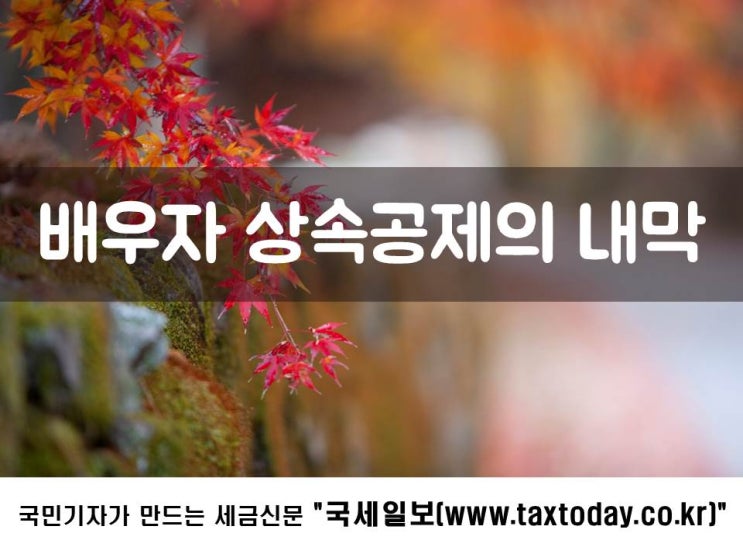  배우자상속공제의 내막
