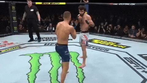 UFC 모스크바 : 자빗 vs 케이터 피니시 영상(GIF) 및 뒷얘기