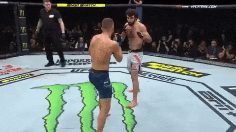 UFC 모스크바 : 자빗 vs 케이터 피니시 영상(GIF) 및 뒷얘기 UFC 모스크바 : 자빗 vs 케이터 피니시 영상(GIF) 및 뒷얘기