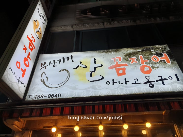  [대전 둔산동 맛집]부산기장 산 꼼장어 살아있어서 통통! 솔직후기
