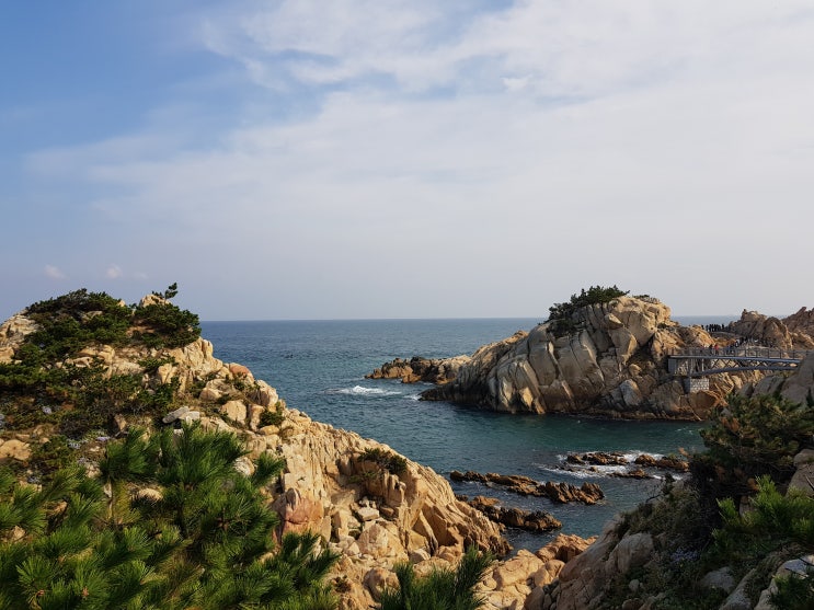  울산여행 ; 울산대왕암공원 / 울산대왕암공원 맛집 (핸드스테이크)