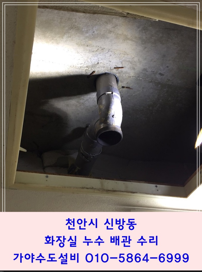  천안시 신방동 한라동백2차아파트 화장실 천장누수 pvc하수배관누수 천안누수전문점