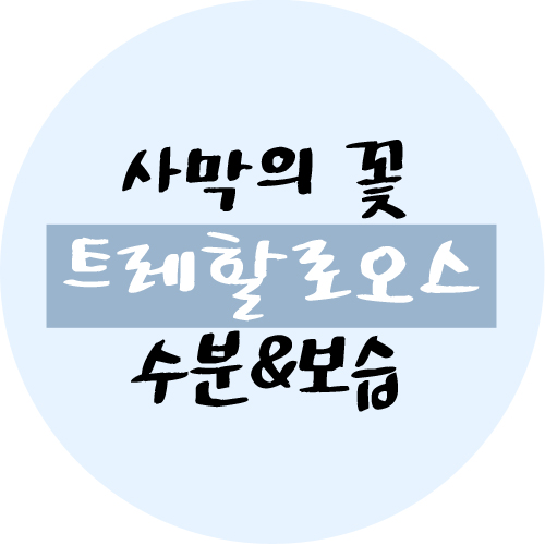  피부관리의 첫걸음 수분 보충! 화장품 성분 트레할로스 효능