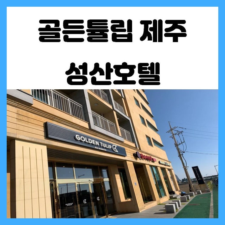 성산 숙소 골든튤립 제주 성산 내돈내산 솔직 이용 후기