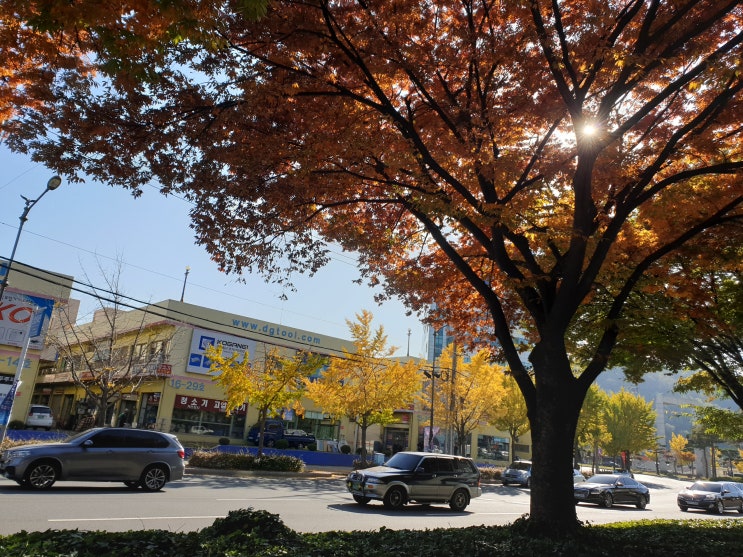  가을거리풍경