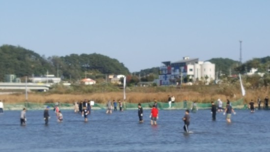 양양군 최대 축제 - 남대천의 양양연어축제 양양군 최대 축제 - 남대천의 양양연어축제