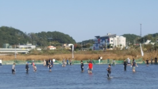 양양군 최대 축제 - 남대천의 양양연어축제