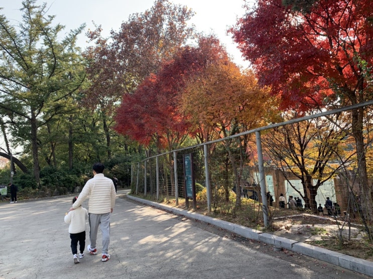  [주말]어린이대공원 나들이