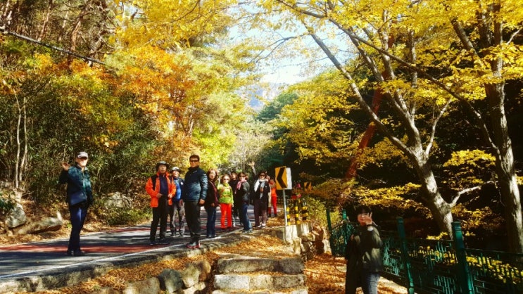  경주국립공원문화재관리단 선진지견학1탄 관룡사觀龍寺 약사전藥師殿 석장승石長丞