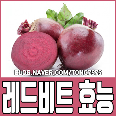  레드비트 효능 6가지와 부작용 참고하세요