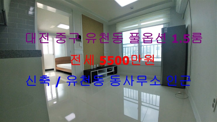  대전 중구 유천동 동사무소 인근에 있는 신축 풀옵션 1.5룸 (투룸식 원룸, 미니 투룸) ! 완전 저렴한 가격으로 나온 전세 매물입니다 ~ ^^