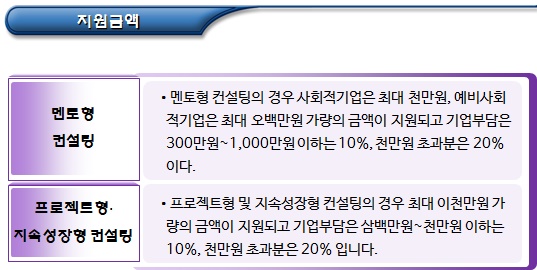 경영지원 등 사회적기업에 대한 지원 경영지원 등 사회적기업에 대한 지원