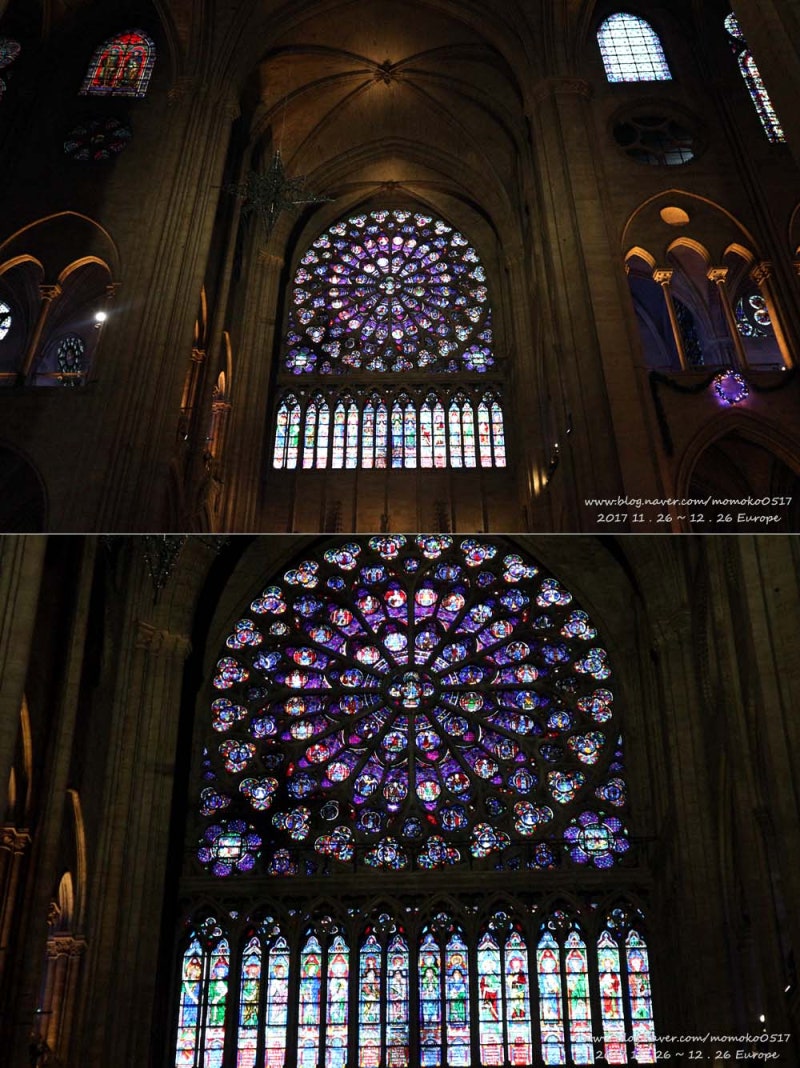 시계꽃 / 6월27일탄생화 : 네이버 블로그, image size:800x1068