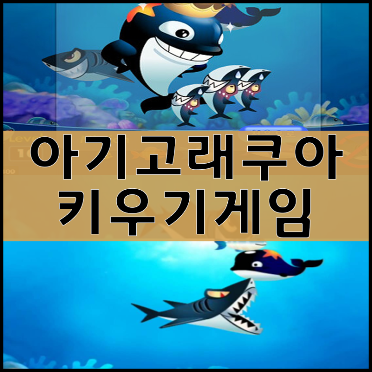  아기고래 쿠아 게임하기 [바다이야기]