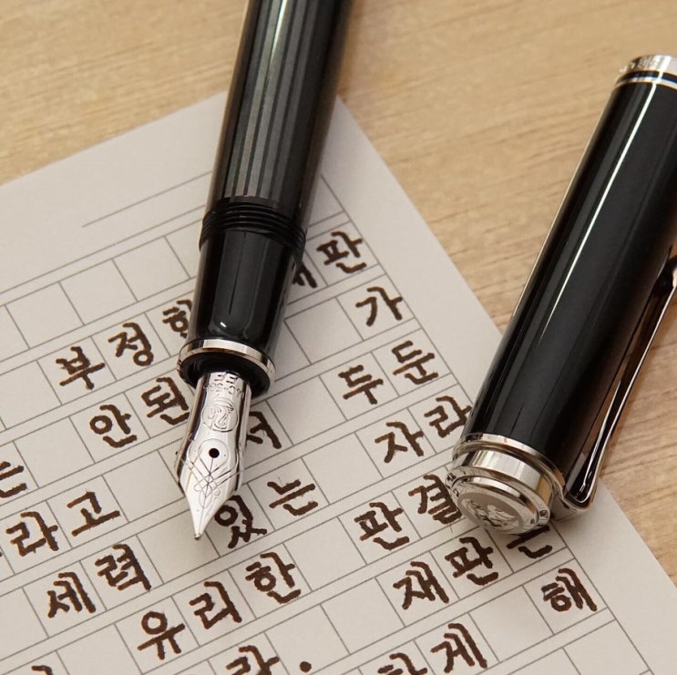  레위기 19장 15절 (펠리칸 M405 슈트레제만 ef닙)