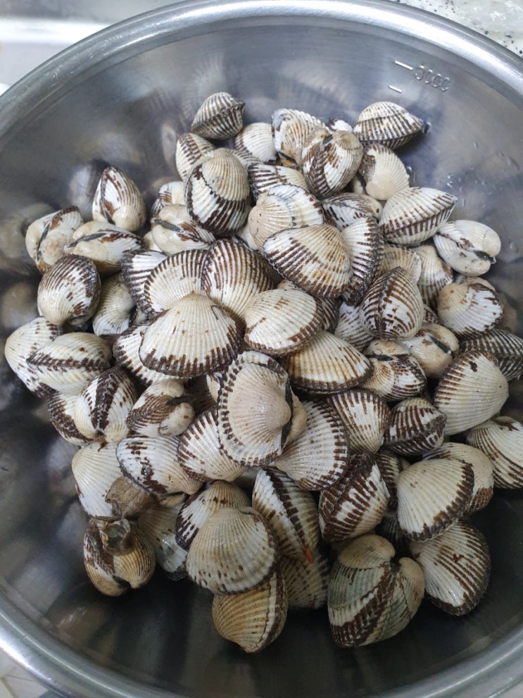 겨울이당 꼬막의 계절 꼬막삶기!! 식빵이 엄마 양념장과 함께합니다. 겨울이당 꼬막의 계절 꼬막삶기!! 식빵이 엄마 양념장과 함께합니다.