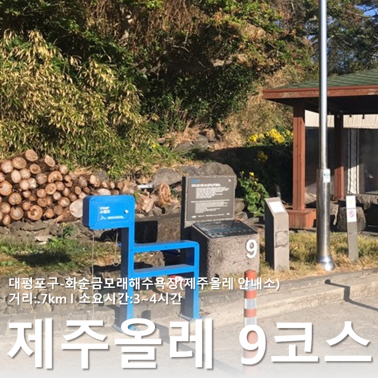  제주 올레길 :: 친정엄마와 함께한 9코스