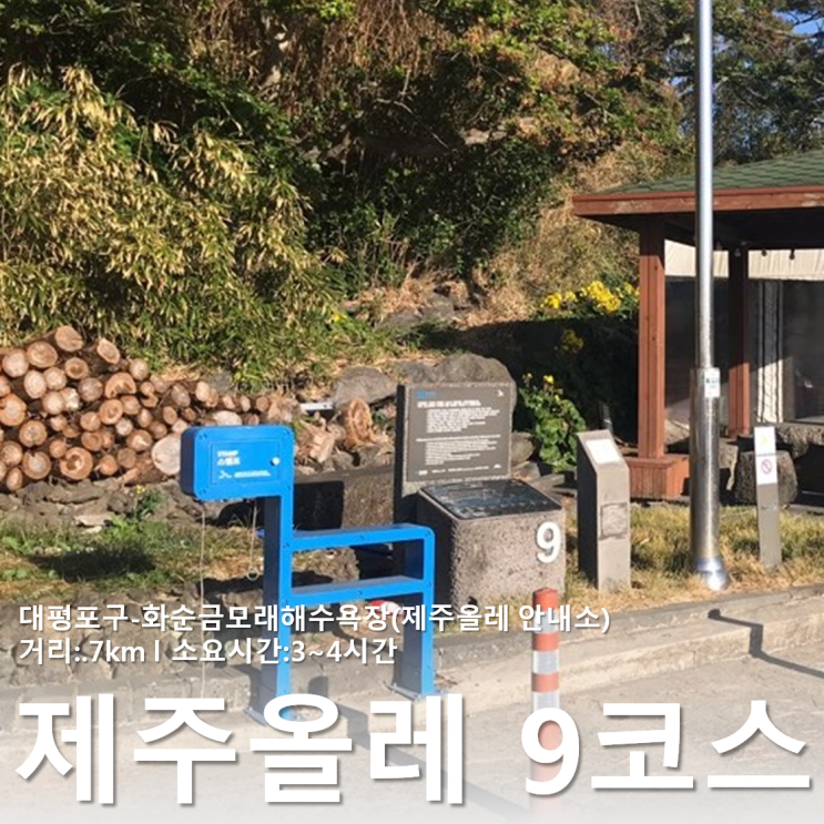 제주 올레길 :: 친정엄마와 함께한 9코스