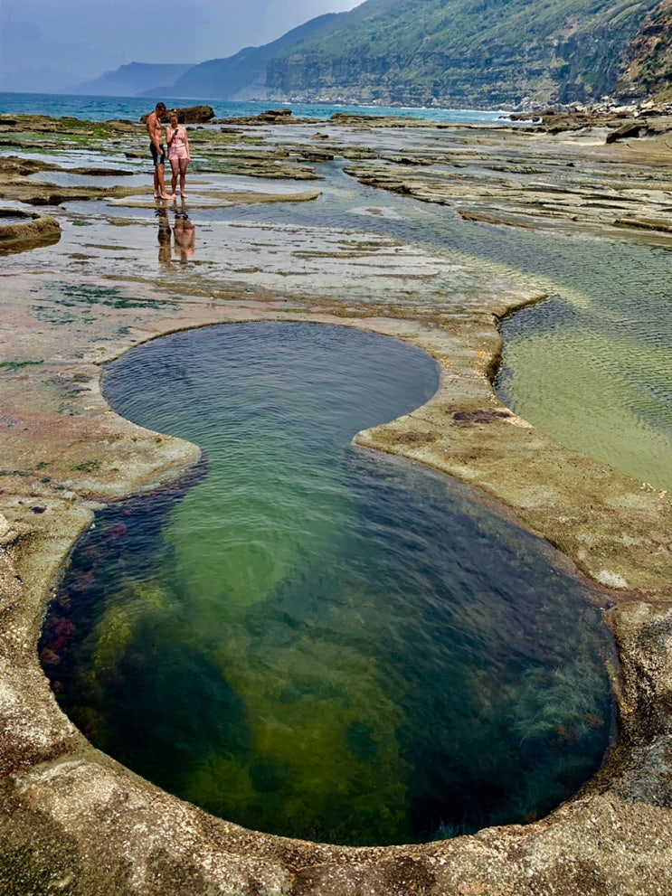 호주 Day-119) Royal National Park, 8 Pools Hiking