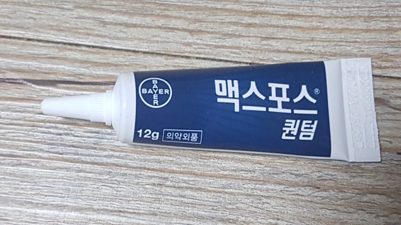 개미 박멸!! 개미퇴치제 맥스포스 퀀텀