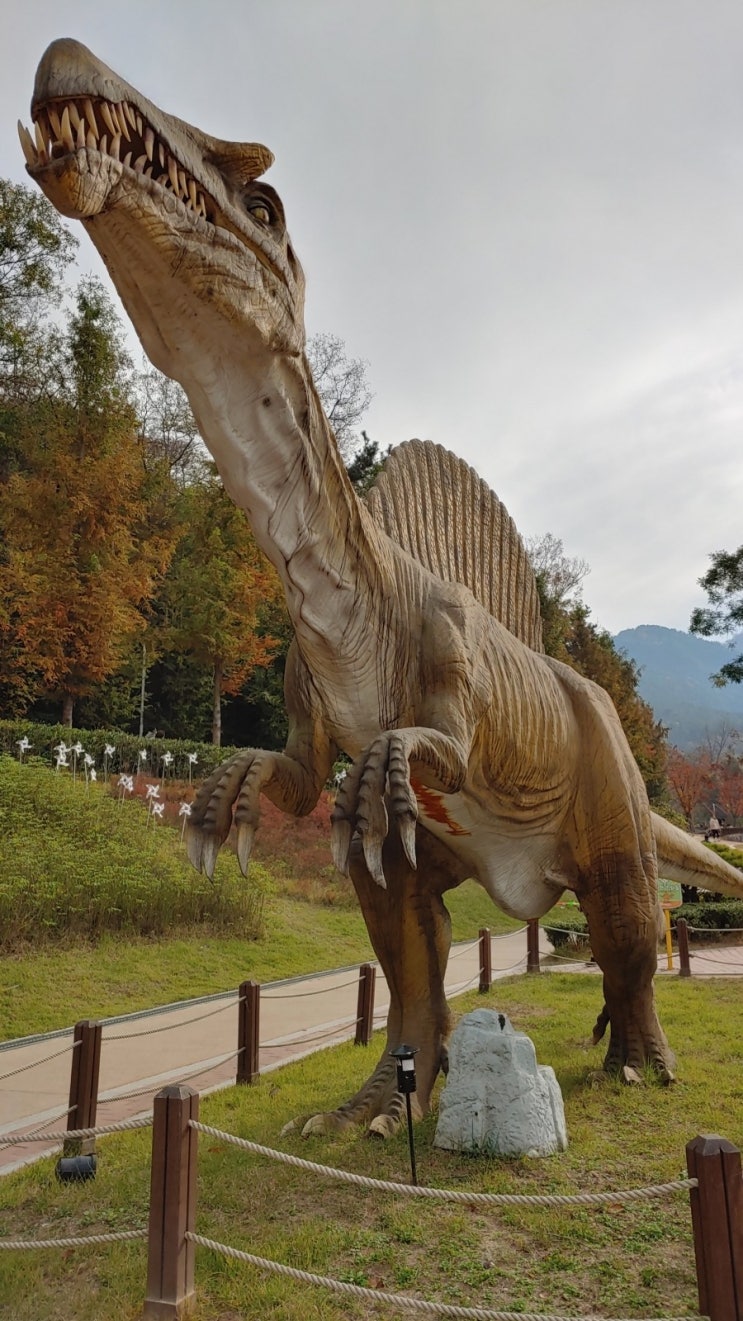 대구 앞산 가을 등산 나들이 ( 공룡공원 ) 대구 앞산 가을 등산 나들이 ( 공룡공원 )