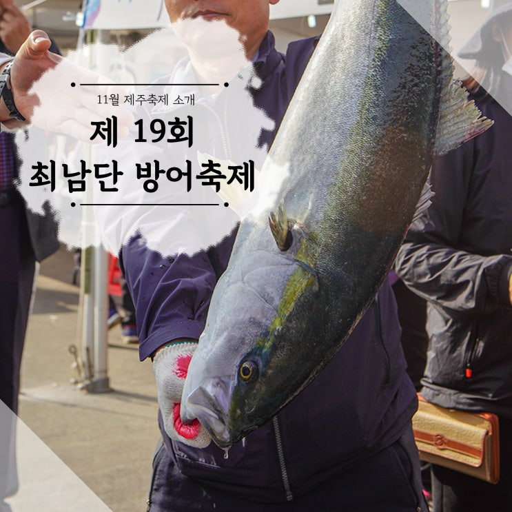  11월 제주축제 겨울여행코스 제주방어축제 제19회 최남단 방어축제