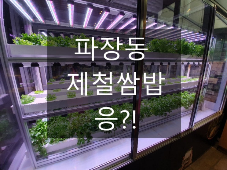  파장동식당 제철쌈밥 갈비찜 입에서 살살 녹아요