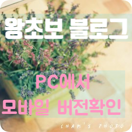  왕초보 블로그-PC에서 모바일 버전 확인하기