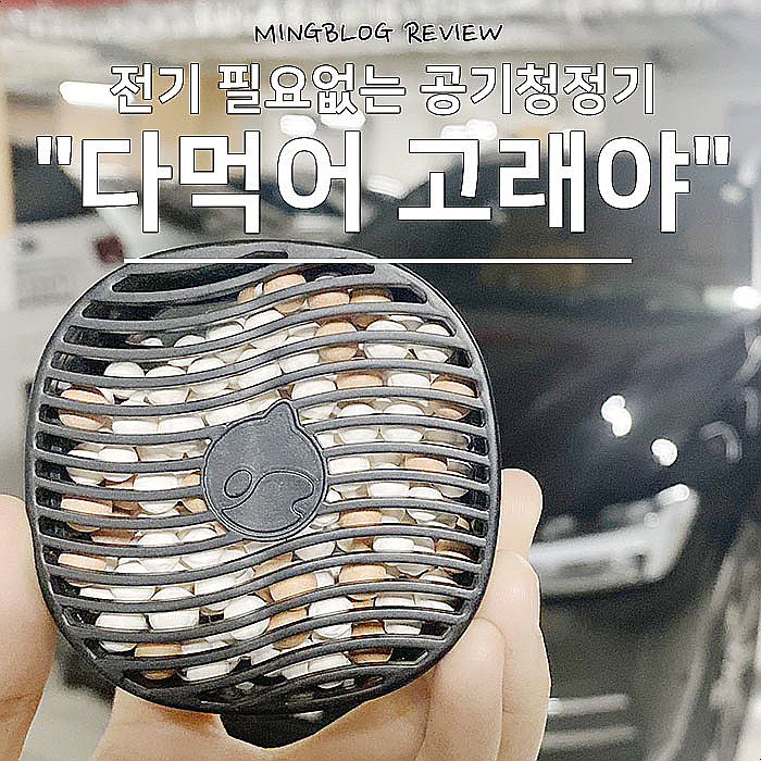 차량용탈취제가 공기청정까지? 다먹어고래야 전기 필요없다며-.