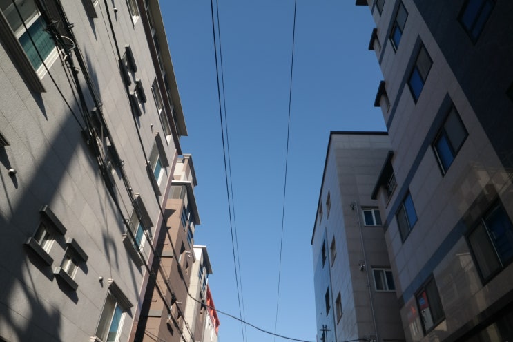  파란하늘을 보면서 화요일 시작합니다.