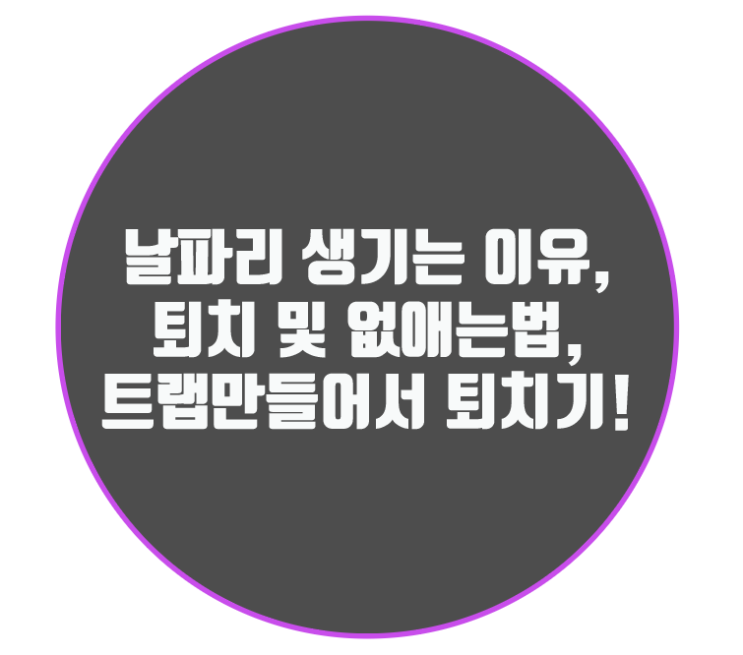  날파리 생기는 이유, 퇴치 및 없애는법, 트랩만들어서 퇴치기!