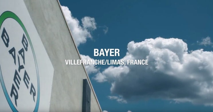 제약 회사 : Bayer