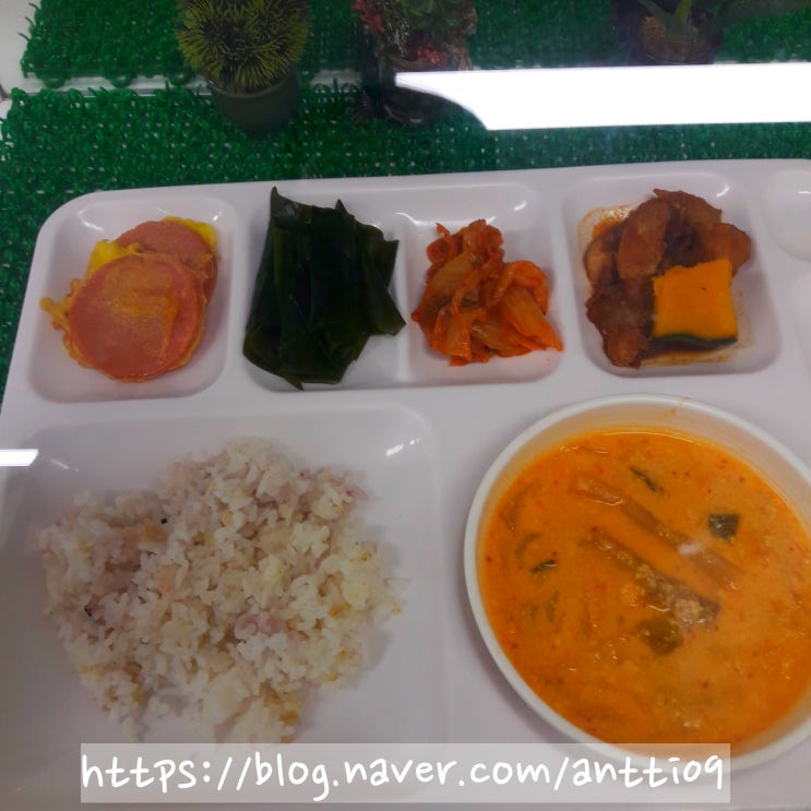  건강 식단  콩비지찌개