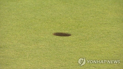 발로 골프공 밀어 넣고 "홀인원"…보험금 타냈다 징역형 발로 골프공 밀어 넣고 "홀인원"…보험금 타냈다 징역형